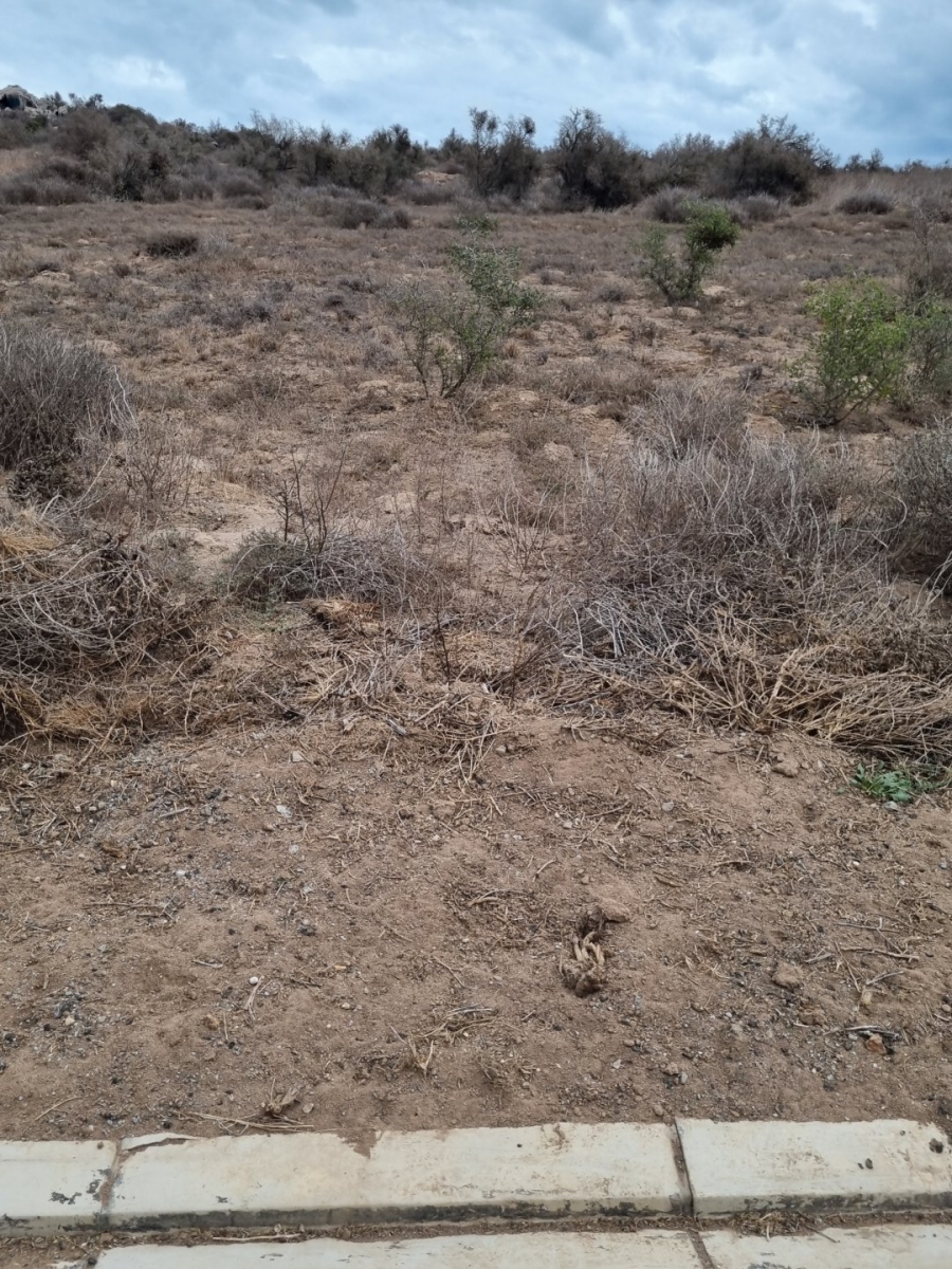  Bedroom Property for Sale in Saldanha Rural Western Cape